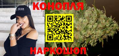 spice Новозыбков