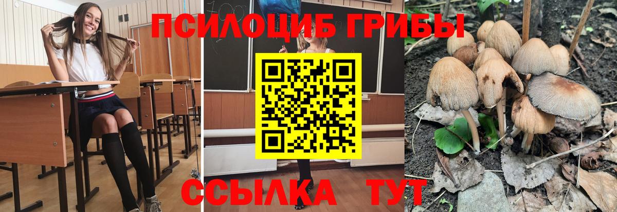 Галлюциногенные грибы MAGIC MUSHROOMS Ульяновск