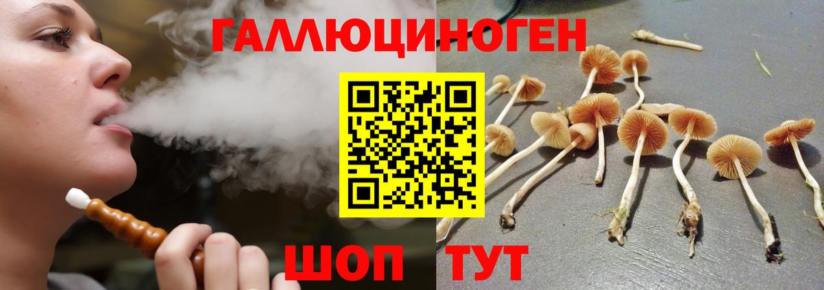 Ульяновск  Псилоцибиновые грибы прущие грибы  Вход с VPN  Псилоцибиновые грибы мухоморы 